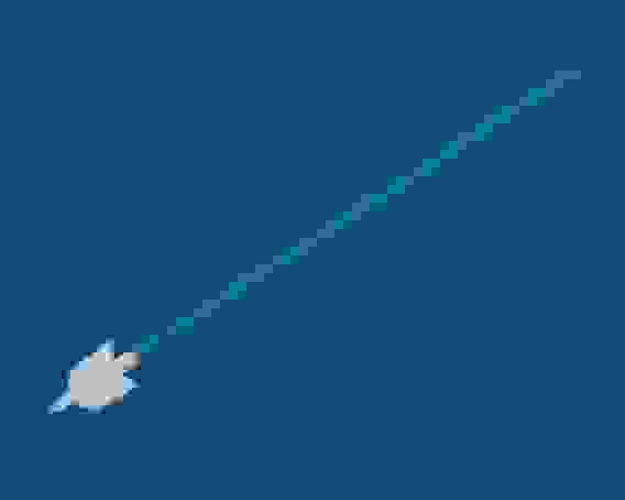 Зонд урогенитальный тип F-1 комбинированный (Цервикс -Браш) о/р стер.100/600/Полимерные изделия