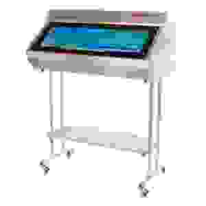 Камера бактерицидная СПДС-1-К передвижная нерж.сталь