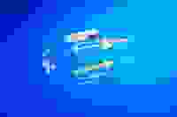 СПР Система для вливания инф. р-ров с пласт. шипом/Vogt Medical/ Германия/50/500