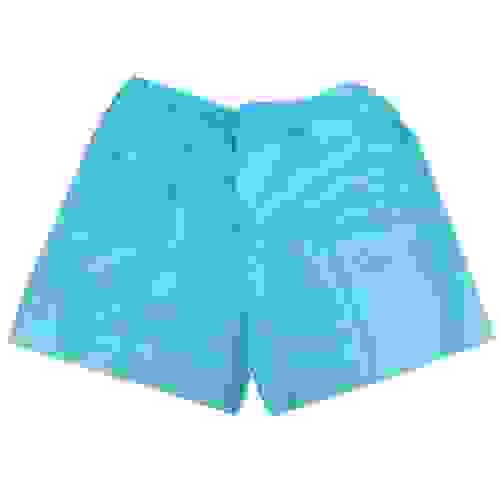 Трусы процедурные (мод.№1, р.52-54, спанбонд, пл.25г/м2, голубой, 20шт/уп, н/ст /Гекса